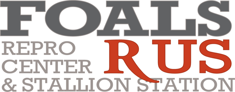 logo-768x303